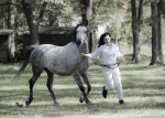 Název souboru=2015_pankova-04947.jpg
Velikost souboru=266KB
Rozměry=900x643
Datum přidání=24. Září 2015 2015_pankova-04947.jpg