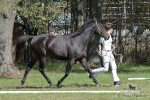 Název souboru=2015_pankova-04963.jpg
Velikost souboru=344KB
Rozměry=900x600
Datum přidání=24. Září 2015 2015_pankova-04963.jpg