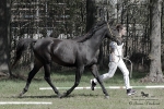 Název souboru=2015_pankova-04965.jpg
Velikost souboru=297KB
Rozměry=900x600
Datum přidání=24. Září 2015 2015_pankova-04965.jpg