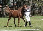 Název souboru=2015_pankova-05018.jpg
Velikost souboru=300KB
Rozměry=900x643
Datum přidání=24. Září 2015 2015_pankova-05018.jpg