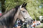Název souboru=2015_pankova-05040.jpg
Velikost souboru=269KB
Rozměry=900x599
Datum přidání=24. Září 2015 2015_pankova-05040.jpg