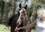 Název souboru=2015_pankova-05071.jpg
Velikost souboru=172KB
Rozměry=900x644
Datum přidání=24. Září 2015 2015_pankova-05071.jpg