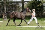 Název souboru=2015_pankova-05081.jpg
Velikost souboru=303KB
Rozměry=900x600
Datum přidání=24. Září 2015 2015_pankova-05081.jpg