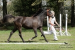 Název souboru=2015_pankova-05083.jpg
Velikost souboru=324KB
Rozměry=900x601
Datum přidání=24. Září 2015 2015_pankova-05083.jpg