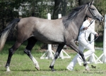 Název souboru=2015_pankova-05100.jpg
Velikost souboru=262KB
Rozměry=900x643
Datum přidání=24. Září 2015 2015_pankova-05100.jpg