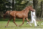 Název souboru=2015_pankova-05126.jpg
Velikost souboru=287KB
Rozměry=900x600
Datum přidání=24. Září 2015 2015_pankova-05126.jpg