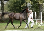 Název souboru=2015_pankova-05147.jpg
Velikost souboru=290KB
Rozměry=900x644
Datum přidání=24. Září 2015 2015_pankova-05147.jpg