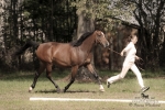 Název souboru=2015_pankova-05165.jpg
Velikost souboru=236KB
Rozměry=900x600
Datum přidání=24. Září 2015 2015_pankova-05165.jpg