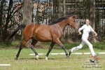 Název souboru=2015_pankova-05169.jpg
Velikost souboru=339KB
Rozměry=900x600
Datum přidání=24. Září 2015 2015_pankova-05169.jpg