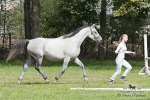 Název souboru=2015_pankova-05177.jpg
Velikost souboru=328KB
Rozměry=900x600
Datum přidání=24. Září 2015 2015_pankova-05177.jpg