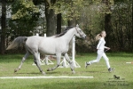 Název souboru=2015_pankova-05181.jpg
Velikost souboru=311KB
Rozměry=900x600
Datum přidání=24. Září 2015 2015_pankova-05181.jpg