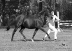 Název souboru=2015_pankova-05405.jpg
Velikost souboru=248KB
Rozměry=900x643
Datum přidání=24. Září 2015 2015_pankova-05405.jpg