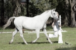 Název souboru=2015_pankova-05461.jpg
Velikost souboru=261KB
Rozměry=900x601
Datum přidání=24. Září 2015 2015_pankova-05461.jpg