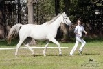 Název souboru=2015_pankova-05475.jpg
Velikost souboru=318KB
Rozměry=900x601
Datum přidání=24. Září 2015 2015_pankova-05475.jpg