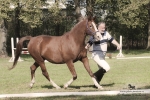 Název souboru=2015_pankova-05532.jpg
Velikost souboru=304KB
Rozměry=900x601
Datum přidání=24. Září 2015 2015_pankova-05532.jpg