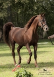 Název souboru=2015_pankova-05784.jpg
Velikost souboru=290KB
Rozměry=643x900
Datum přidání=24. Září 2015 2015_pankova-05784.jpg