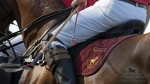 Název souboru=2015_pankova-polo-03500.jpg
Velikost souboru=188KB
Rozměry=900x506
Datum přidání=11. Září 2015 2015_pankova-polo-03500.jpg
