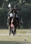 Název souboru=2015_pankova-polo-03532.jpg
Velikost souboru=206KB
Rozměry=643x900
Datum přidání=11. Září 2015 2015_pankova-polo-03532.jpg