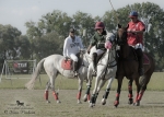 Název souboru=2015_pankova-polo-03537.jpg
Velikost souboru=239KB
Rozměry=900x643
Datum přidání=11. Září 2015 2015_pankova-polo-03537.jpg