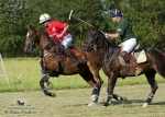 Název souboru=2015_pankova-polo-03545.jpg
Velikost souboru=309KB
Rozměry=900x643
Datum přidání=11. Září 2015 2015_pankova-polo-03545.jpg