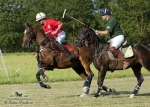 2015_pankova-polo-03545.jpg