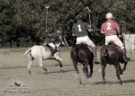 Název souboru=2015_pankova-polo-03562.jpg
Velikost souboru=303KB
Rozměry=900x642
Datum přidání=11. Září 2015 2015_pankova-polo-03562.jpg