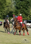 Název souboru=2015_pankova-polo-03573.jpg
Velikost souboru=320KB
Rozměry=643x900
Datum přidání=11. Září 2015 2015_pankova-polo-03573.jpg