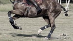 Název souboru=2015_pankova-polo-03583.jpg
Velikost souboru=212KB
Rozměry=900x507
Datum přidání=11. Září 2015 2015_pankova-polo-03583.jpg