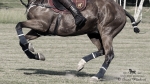 2015_pankova-polo-03583.jpg