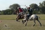 Název souboru=2015_pankova-polo-03690.jpg
Velikost souboru=230KB
Rozměry=900x601
Datum přidání=11. Září 2015 2015_pankova-polo-03690.jpg