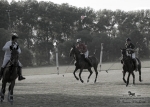 Název souboru=2015_pankova-polo-03700.jpg
Velikost souboru=224KB
Rozměry=900x643
Datum přidání=11. Září 2015 2015_pankova-polo-03700.jpg