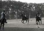 2015_pankova-polo-03700.jpg