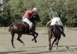 Název souboru=2015_pankova-polo-03704.jpg
Velikost souboru=322KB
Rozměry=900x643
Datum přidání=11. Září 2015 2015_pankova-polo-03704.jpg
