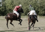 2015_pankova-polo-03704.jpg