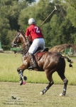 Název souboru=2015_pankova-polo-03711.jpg
Velikost souboru=269KB
Rozměry=643x900
Datum přidání=11. Září 2015 2015_pankova-polo-03711.jpg