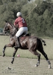 Název souboru=2015_pankova-polo-03712.jpg
Velikost souboru=242KB
Rozměry=643x900
Datum přidání=11. Září 2015 2015_pankova-polo-03712.jpg