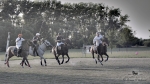 Název souboru=2015_pankova-polo-03722.jpg
Velikost souboru=356KB
Rozměry=1100x619
Datum přidání=11. Září 2015 2015_pankova-polo-03722.jpg