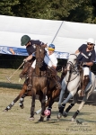 Název souboru=2015_pankova-polo-03789.jpg
Velikost souboru=280KB
Rozměry=643x900
Datum přidání=11. Září 2015 2015_pankova-polo-03789.jpg