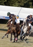 2015_pankova-polo-03789.jpg