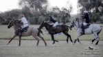 Název souboru=2015_pankova-polo-03871.jpg
Velikost souboru=188KB
Rozměry=900x506
Datum přidání=11. Září 2015 2015_pankova-polo-03871.jpg