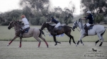 2015_pankova-polo-03871.jpg