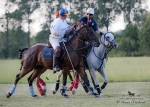Název souboru=2015_pankova-polo-03884.jpg
Velikost souboru=268KB
Rozměry=900x643
Datum přidání=11. Září 2015 2015_pankova-polo-03884.jpg