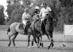 Název souboru=2015_pankova-polo-03885.jpg
Velikost souboru=230KB
Rozměry=900x643
Datum přidání=11. Září 2015 2015_pankova-polo-03885.jpg