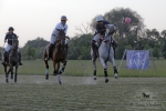 Název souboru=2015_pankova-polo-03890.jpg
Velikost souboru=207KB
Rozměry=900x601
Datum přidání=11. Září 2015 2015_pankova-polo-03890.jpg