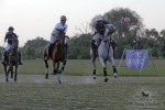 2015_pankova-polo-03890.jpg