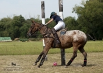 Název souboru=2015_pankova-polo-04023.jpg
Velikost souboru=274KB
Rozměry=900x643
Datum přidání=11. Září 2015 2015_pankova-polo-04023.jpg