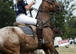 2015_pankova-polo-04034.jpg