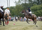 Název souboru=2015_pankova-polo-04162.jpg
Velikost souboru=263KB
Rozměry=900x643
Datum přidání=11. Září 2015 2015_pankova-polo-04162.jpg