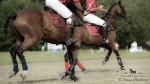 Název souboru=2015_pankova-polo-04312.jpg
Velikost souboru=174KB
Rozměry=900x506
Datum přidání=11. Září 2015 2015_pankova-polo-04312.jpg