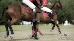 2015_pankova-polo-04312.jpg